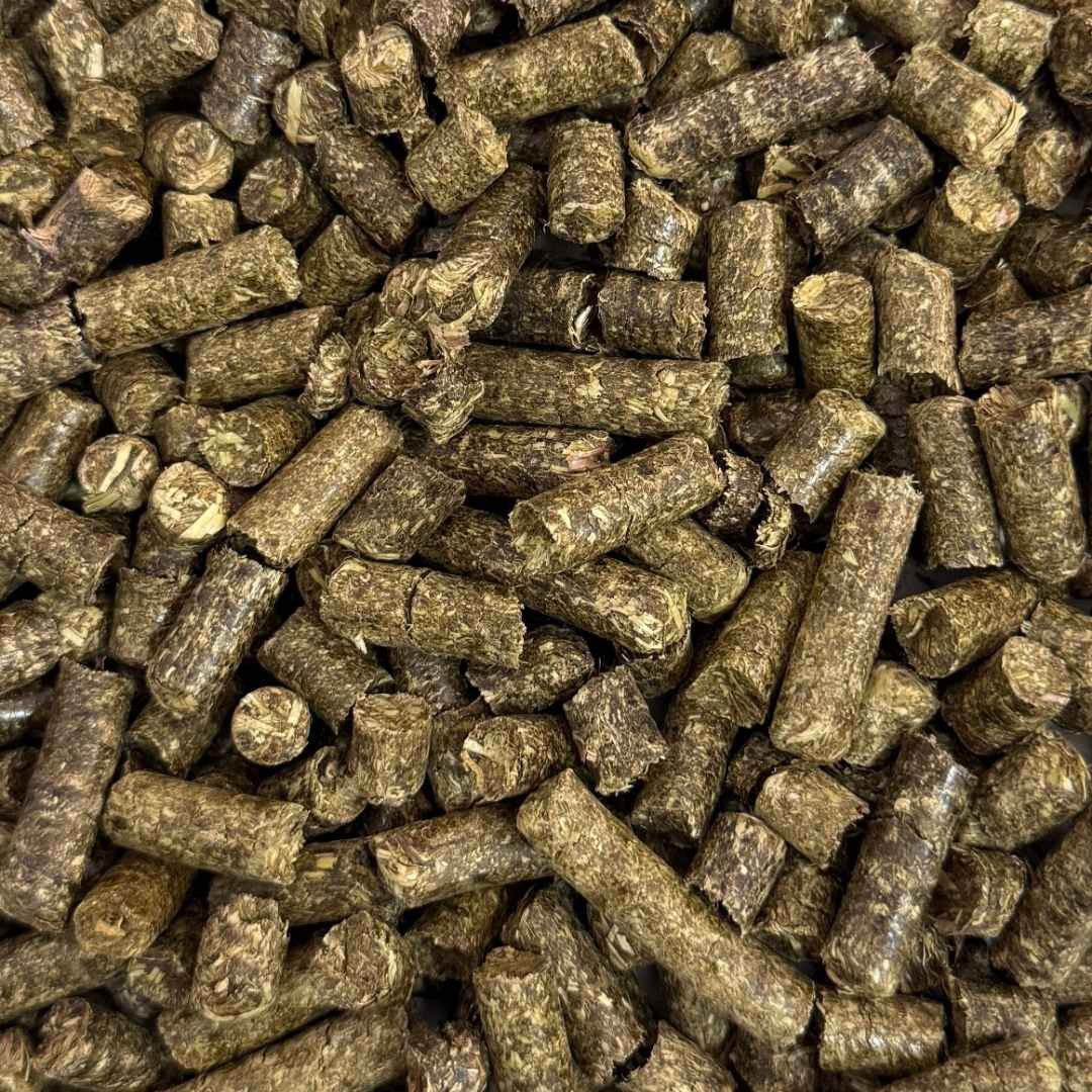 NATURE PELLETS, Timothy - Imagen 2