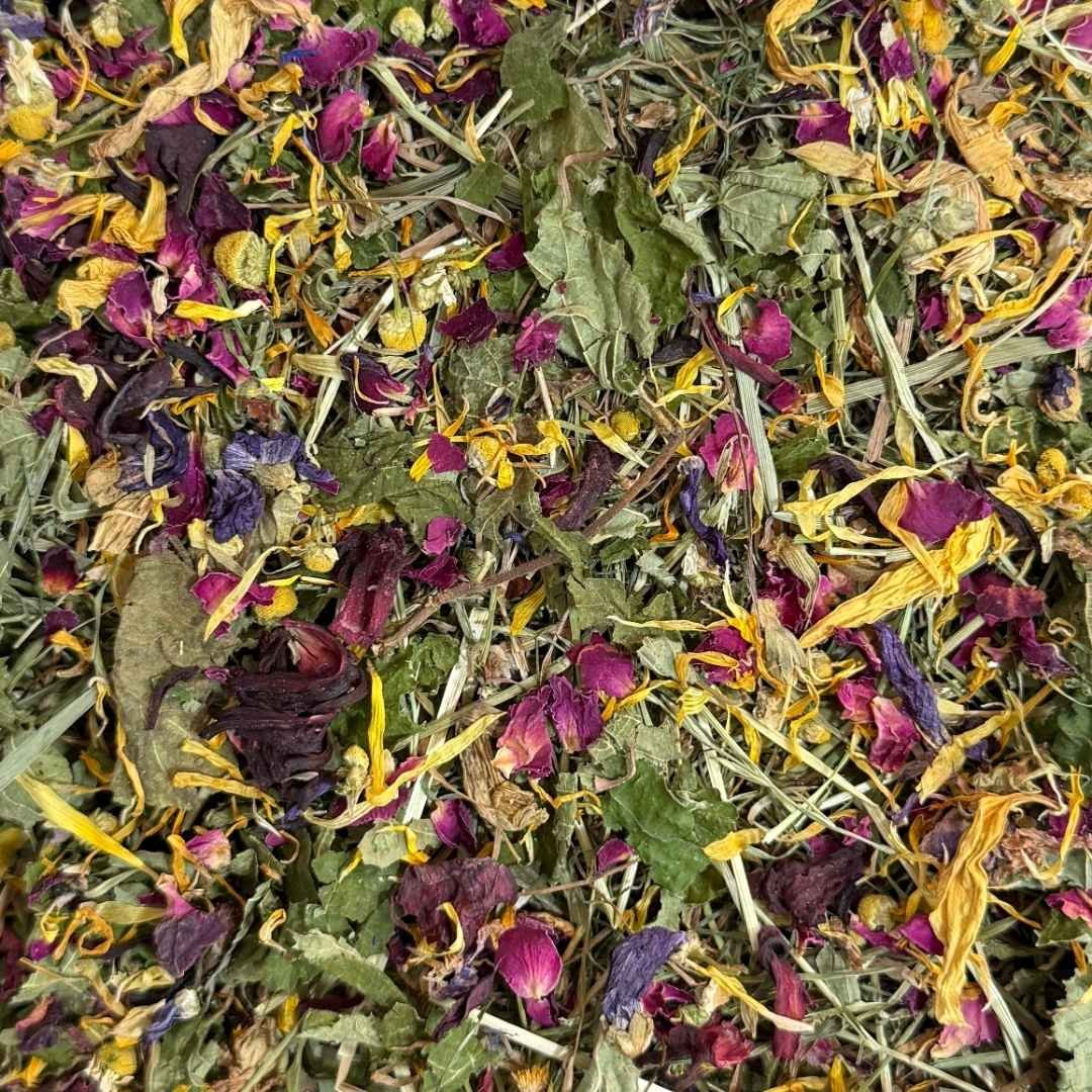 DELICIAS SILVESTRES, Flores - Imagen 2