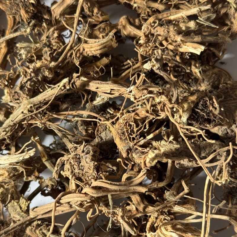 RAÍZ SELECTA, Ortiga - Imagen 2