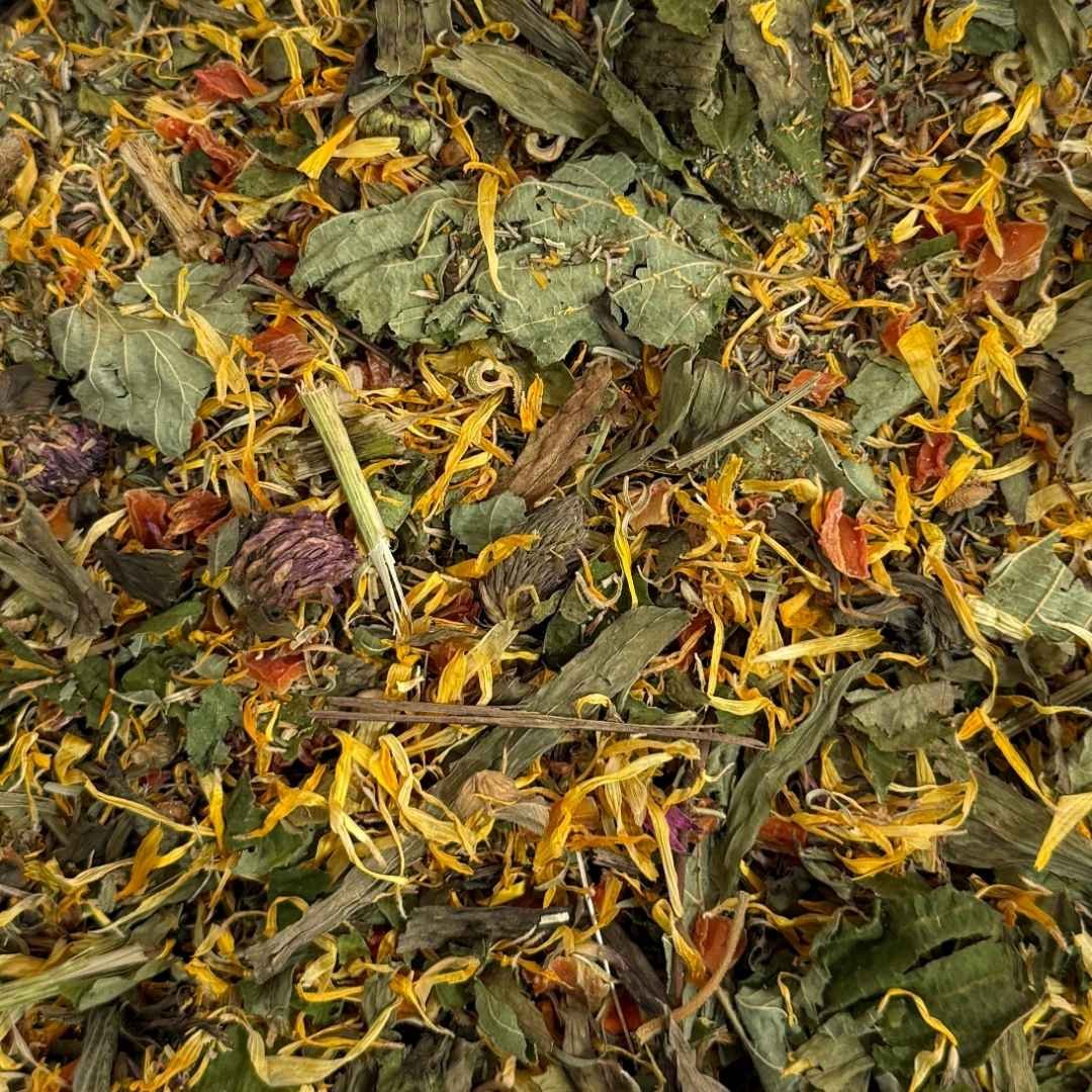 HIERBAS SELECTAS, Respiratorio - Imagen 2