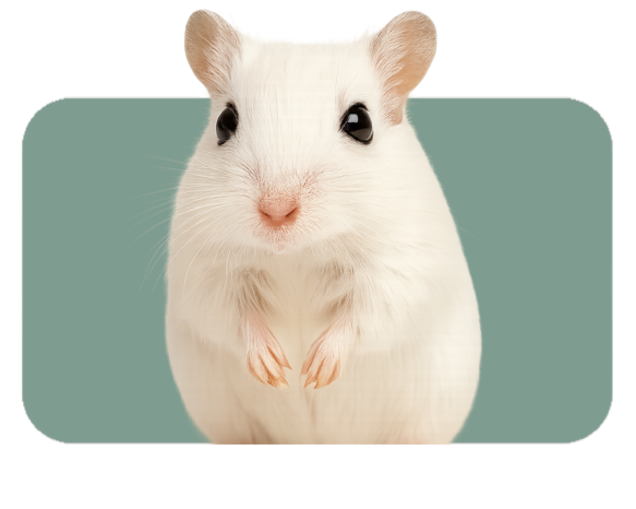 Diseño sin título.png (2)