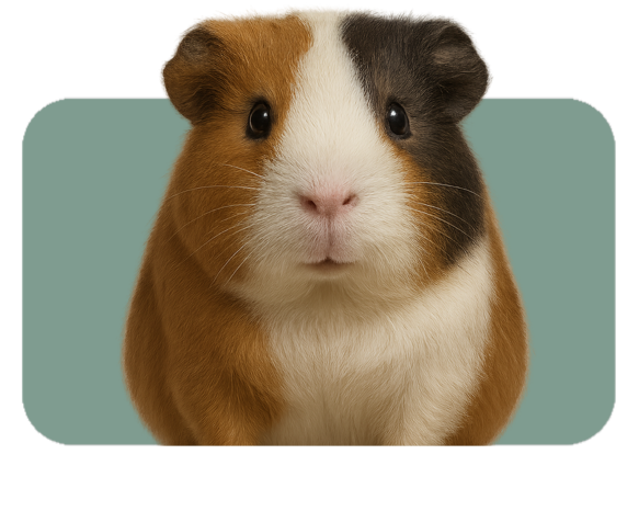 Diseño sin título.png (6)