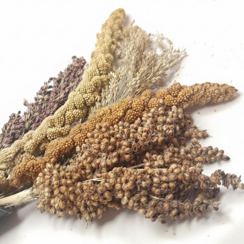 ESPIGAS SELECTAS, Mix Espigas - Imagen 2