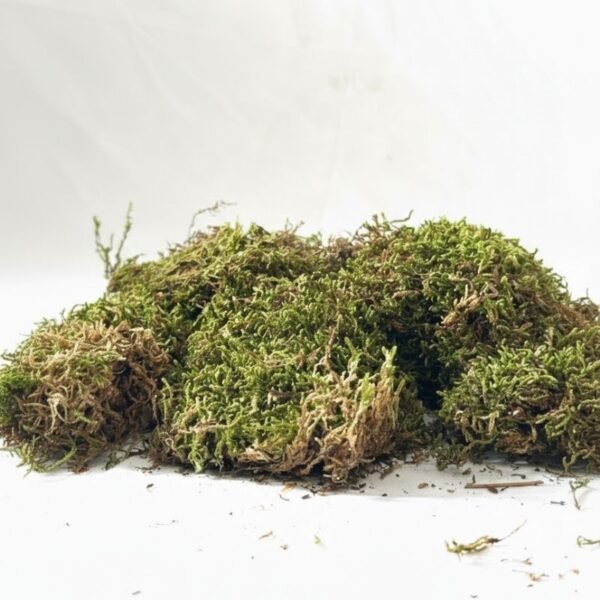 MUSGO SECO NATURAL