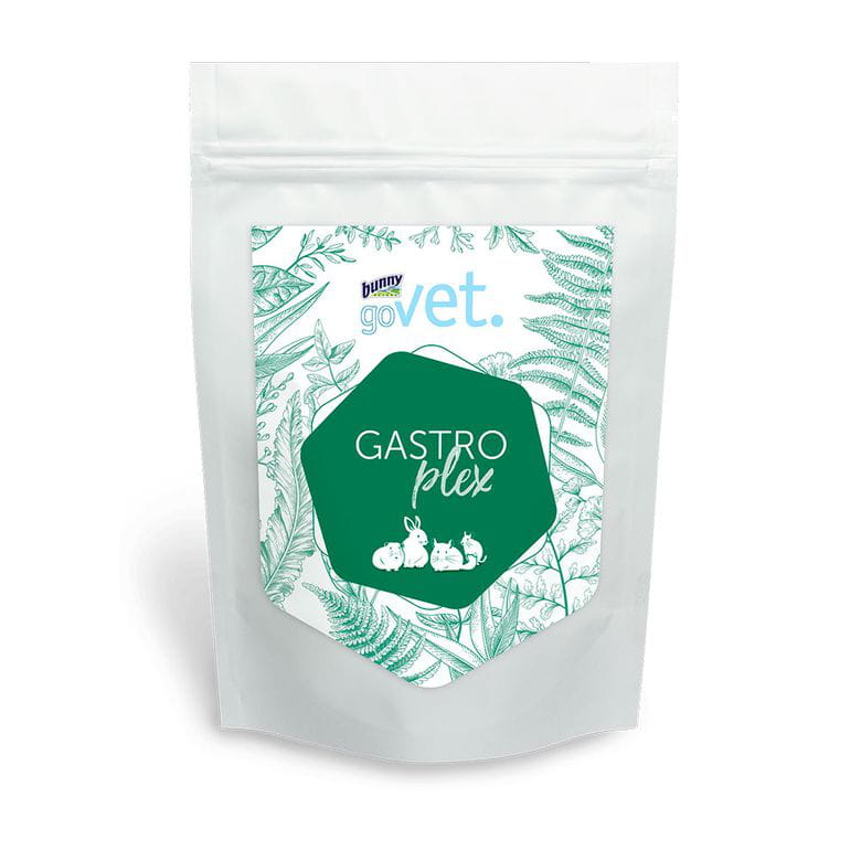Bunny GoVet, Gastroplex