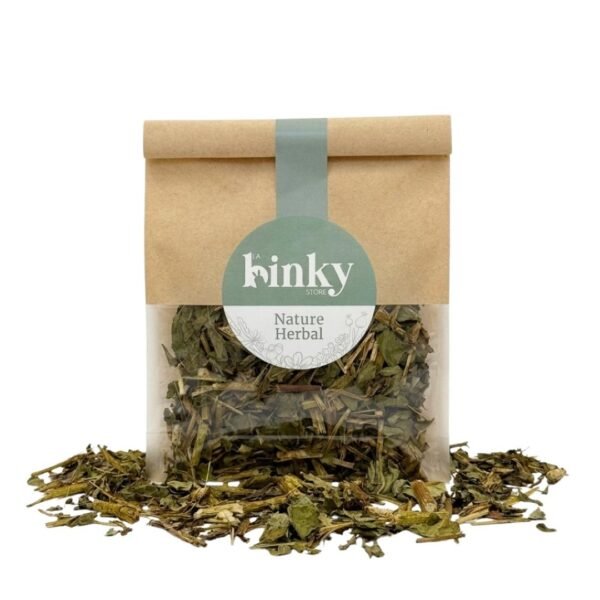 HOJAS SELECTAS, Tupinambo