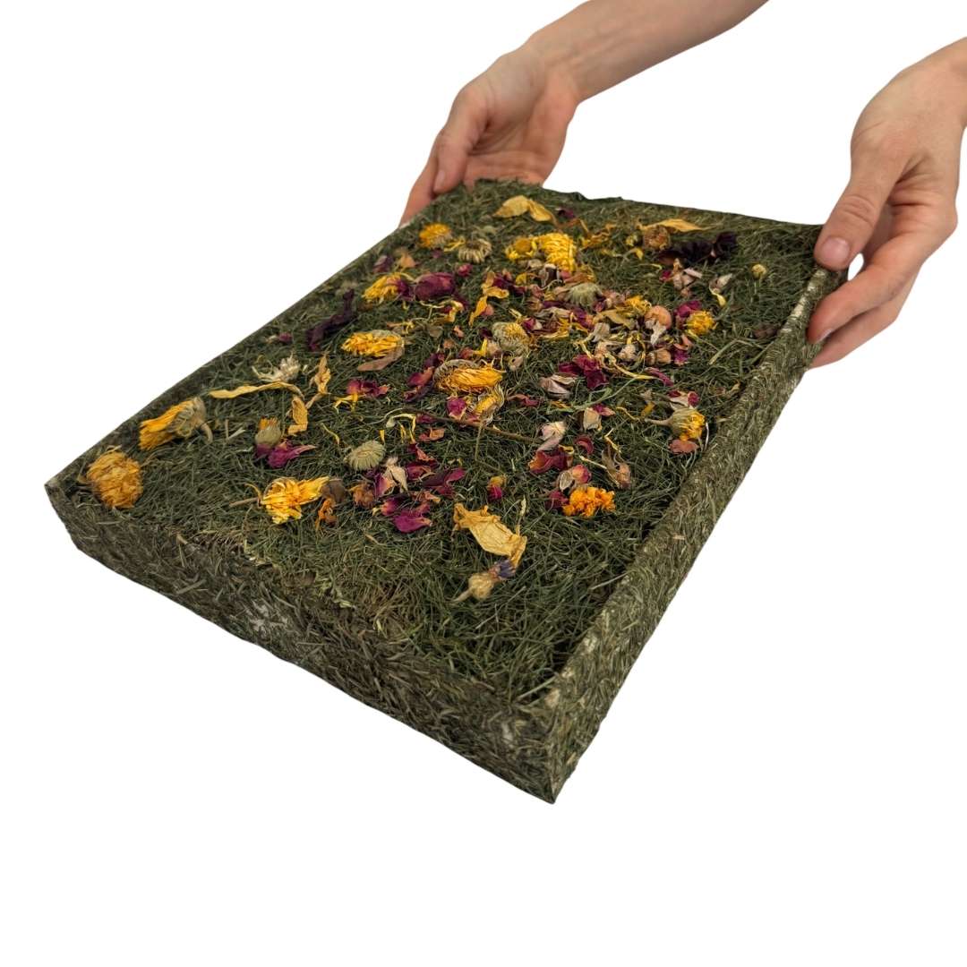 PRADERA NATURAL, Wildflower - Imagen 2