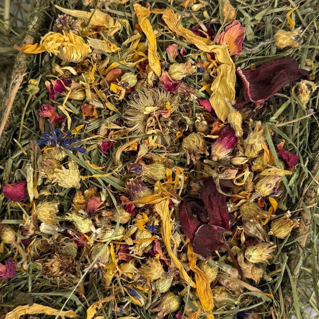 NATURE BOWL, Mix Flores - Imagen 3